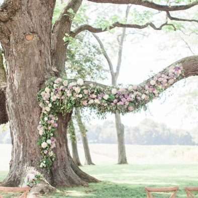 Decoración de árbol